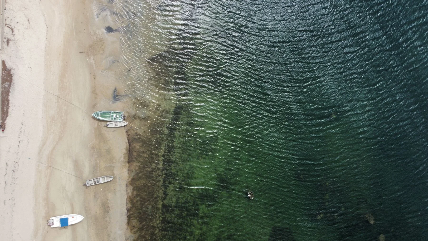 Boats and a sandy shoreline in Lamu County, Kenya